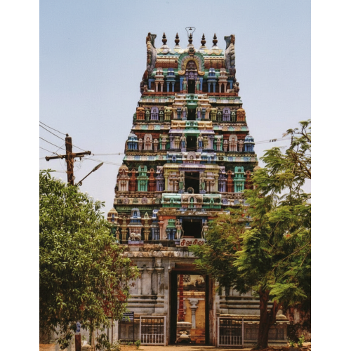 Pasupatheeshwarar  Temple - Aavur 