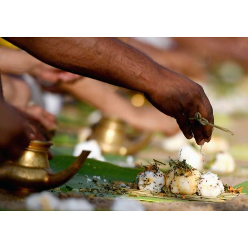 Perform Online Tharpanam – Amavasya Pitru Puja with Live Telecast