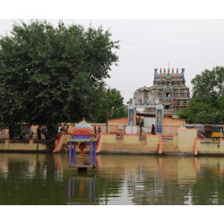 Pambureshwarar Thirupamburam Temple Rahu-Kethu & Kalasarpa Dosha Relief Archana