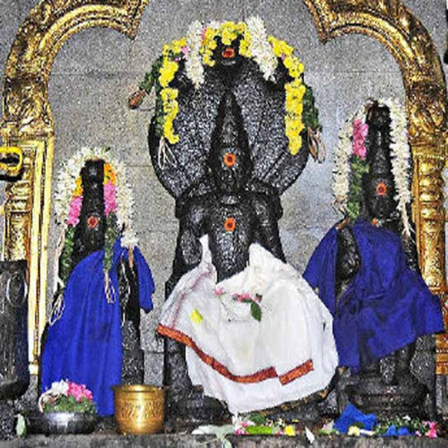 Rahu Bhagavan Temple - Thirunageswaram