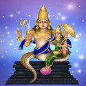 Rahu Bhagavan Temple - Thirunageswaram